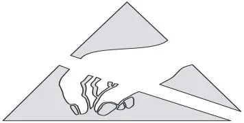 MHS Vermietung von Baumaschinen & Mietgeräten – Baumaschinen & Mietgeräte
